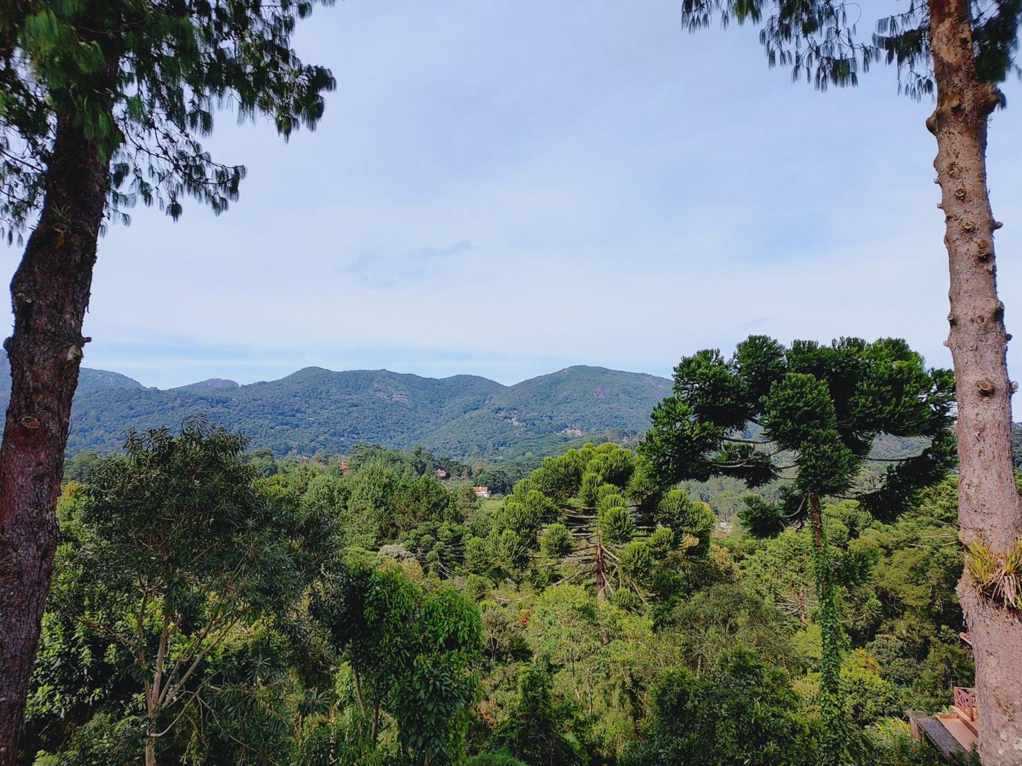 Colline Verte Monte Verde  Dış mekan fotoğraf